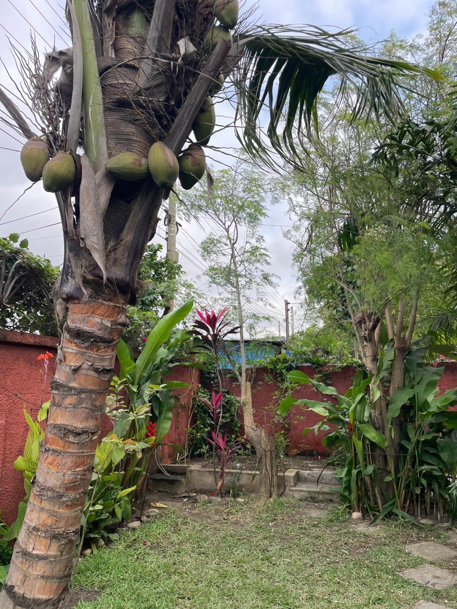 Hechtech House Appartement Accra Buitenkant foto