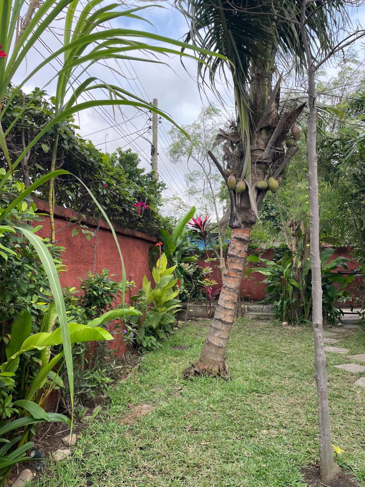 Hechtech House Appartement Accra Buitenkant foto
